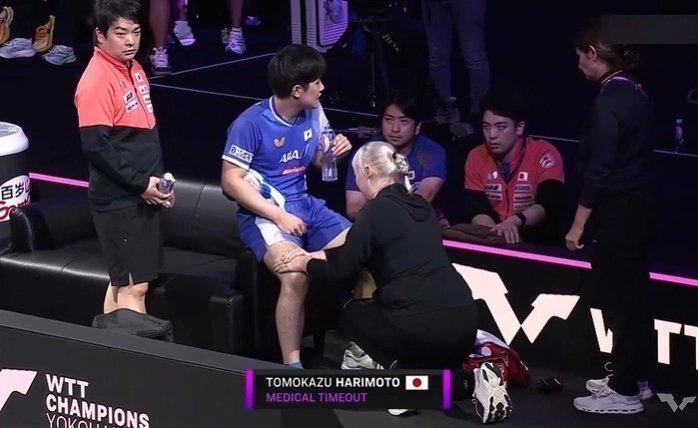 张本放弃了 张本放弃了